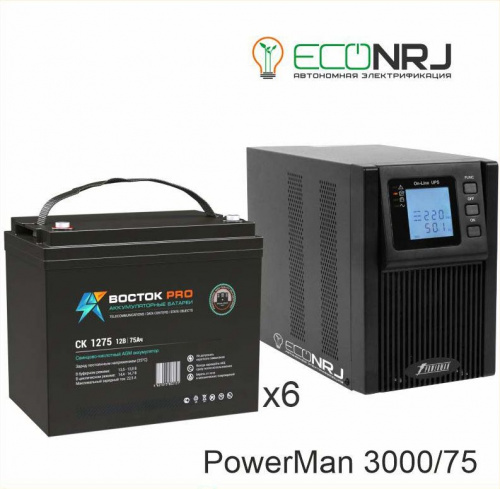 ИБП POWERMAN ONLINE 3000 Plus + ВОСТОК PRO СК-1275 фото 2