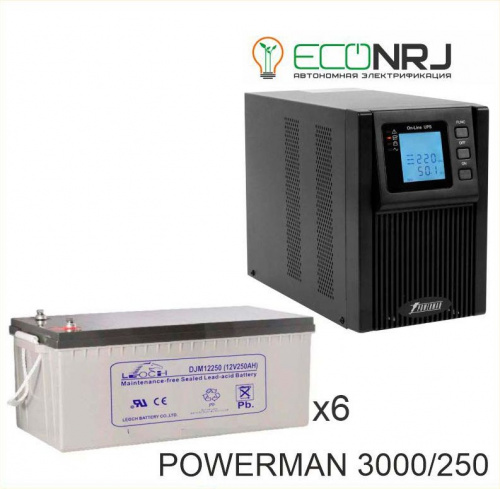 ИБП POWERMAN ONLINE 3000 Plus + LEOCH DJM12250 фото 2