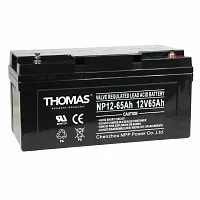 Аккумуляторная батарея для ИБП Thomas GB12-65 12V65Ah