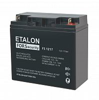 Аккумуляторная батарея ETALON FS 1217