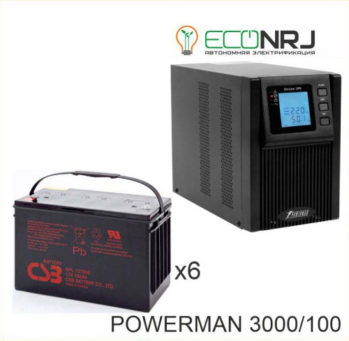 ИБП POWERMAN ONLINE 3000 Plus + CSB GPL121000 фото 3