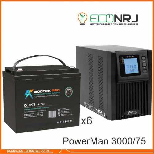 ИБП POWERMAN ONLINE 3000 Plus + ВОСТОК PRO СК-1275 фото 3