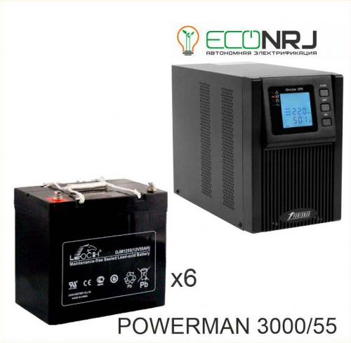 ИБП POWERMAN ONLINE 3000 Plus + LEOCH DJM1255 фото 2