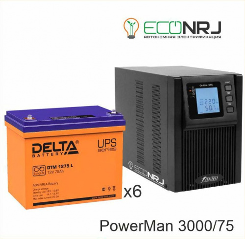 ИБП POWERMAN ONLINE 3000 Plus + Delta DTM 1275 L фото 2