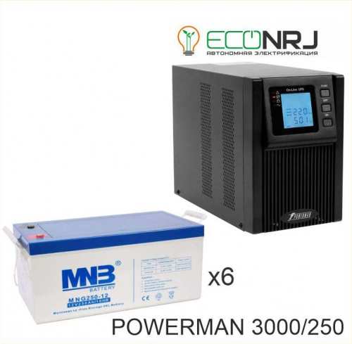 ИБП POWERMAN ONLINE 3000 Plus + MNB MNG250-12 фото 2