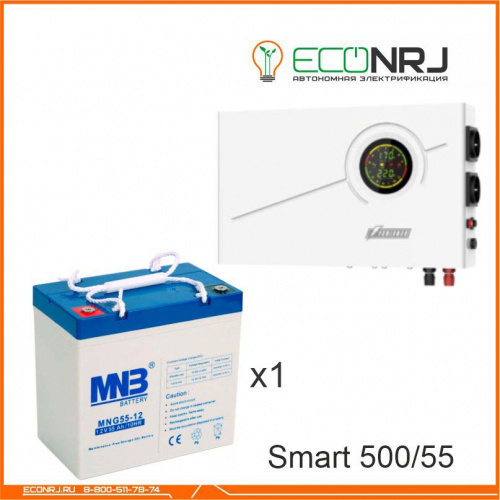 ИБП Powerman Smart 500 INV + MNB MNG55-12 фото 3