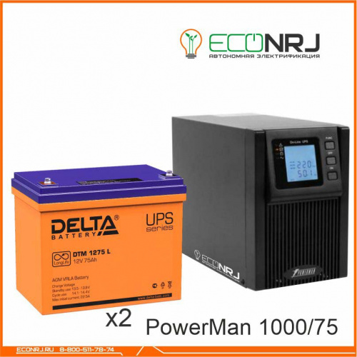 ИБП POWERMAN ONLINE 1000 Plus + Delta DTM 1275 L фото 3