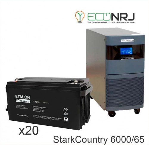 Stark Country 6000 Online, 12А + ETALON FS 1265 фото 3