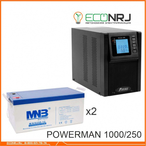 ИБП POWERMAN ONLINE 1000 Plus + MNB MNG250-12 фото 2