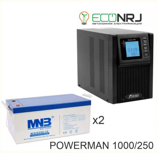 ИБП POWERMAN ONLINE 1000 Plus + MNB MNG250-12 фото 3