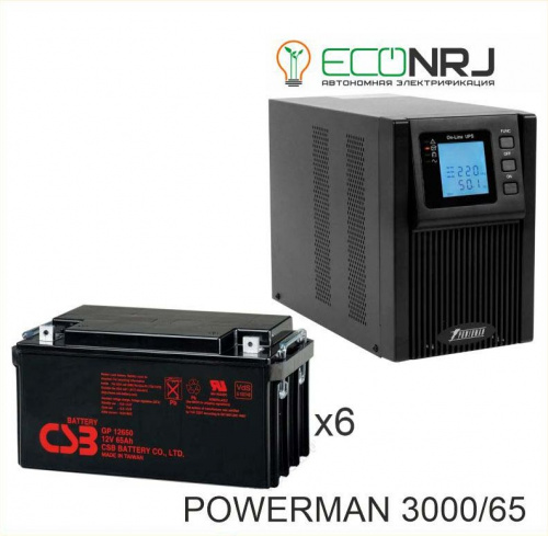 ИБП POWERMAN ONLINE 3000 Plus + CSB GP12650 фото 2