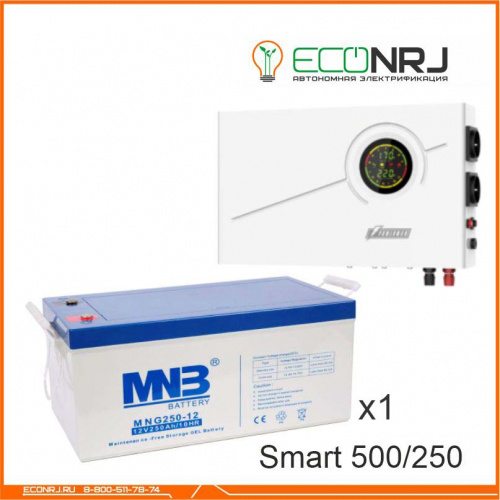 ИБП Powerman Smart 500 INV + MNB MNG250-12 фото 3