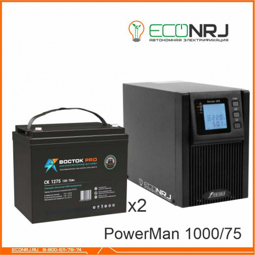 ИБП POWERMAN ONLINE 1000 Plus + ВОСТОК PRO СК-1275 фото 3