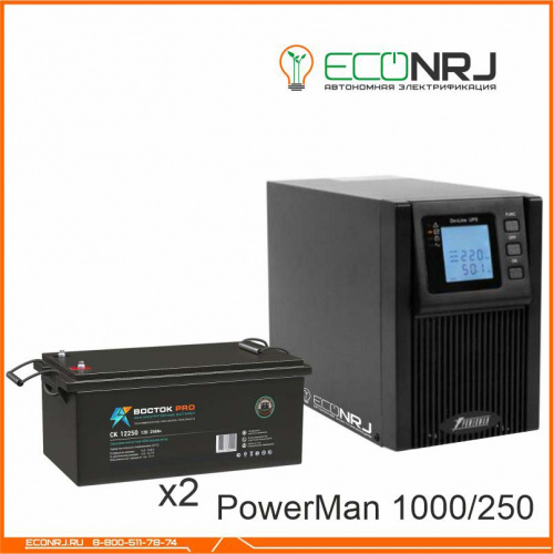 ИБП POWERMAN ONLINE 1000 Plus + ВОСТОК PRO СК-12250 фото 3