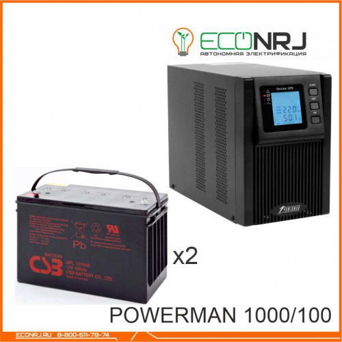 ИБП POWERMAN ONLINE 1000 Plus + CSB GPL121000 фото 2