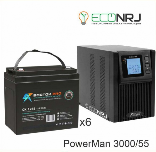 ИБП POWERMAN ONLINE 3000 Plus + ВОСТОК PRO СК-1255 фото 2