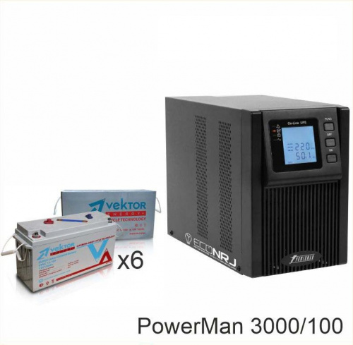 ИБП POWERMAN ONLINE 3000 Plus + Vektor VPbC 12-100