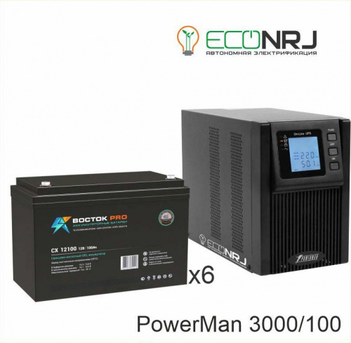 ИБП POWERMAN ONLINE 3000 Plus + ВОСТОК PRO СХ-12100 фото 2