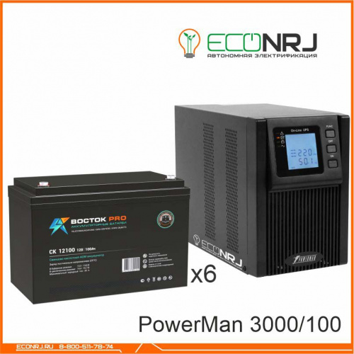 ИБП POWERMAN ONLINE 3000 Plus + ВОСТОК PRO СК-12100 фото 3