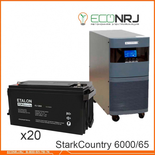 Stark Country 6000 Online, 12А + ETALON FS 1265 фото 2